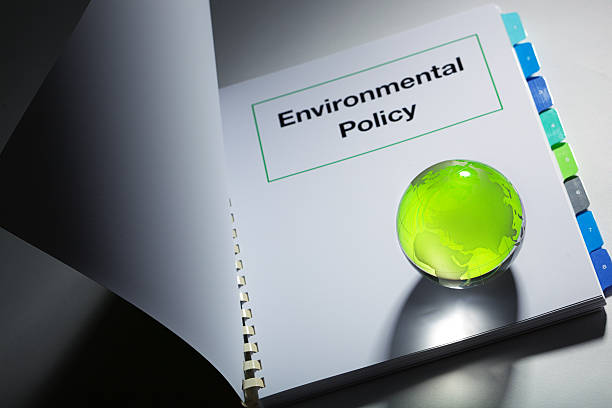 Environmental Licensing Follow-up